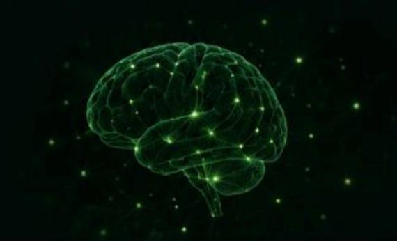 Neuron